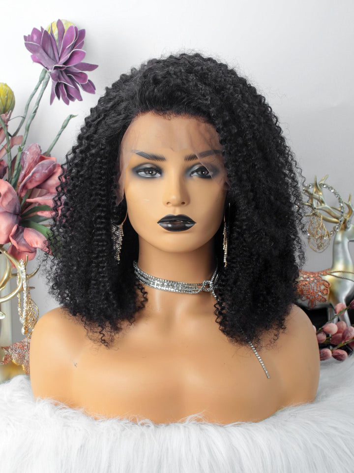 Kinky Curly Glueless 13X6 Lace Front Wigs Pre-Plucked [LW01] - myqualityhair