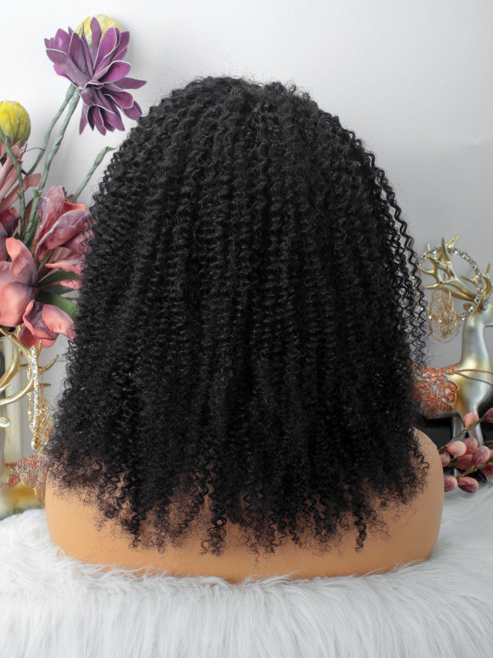 Kinky Curly Glueless 13X6 Lace Front Wigs Pre-Plucked [LW01] - myqualityhair