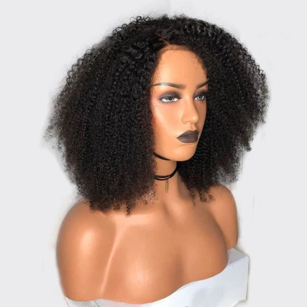 Afro Kinky Curly Full Lace Pre-plucked Hairline Human Hair Skin Melt Lace Wig [FLW06]