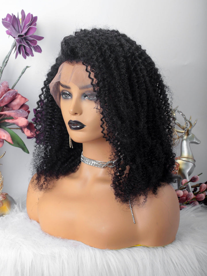 Kinky Curly Glueless 13X6 Lace Front Wigs Pre-Plucked [LW01] - myqualityhair